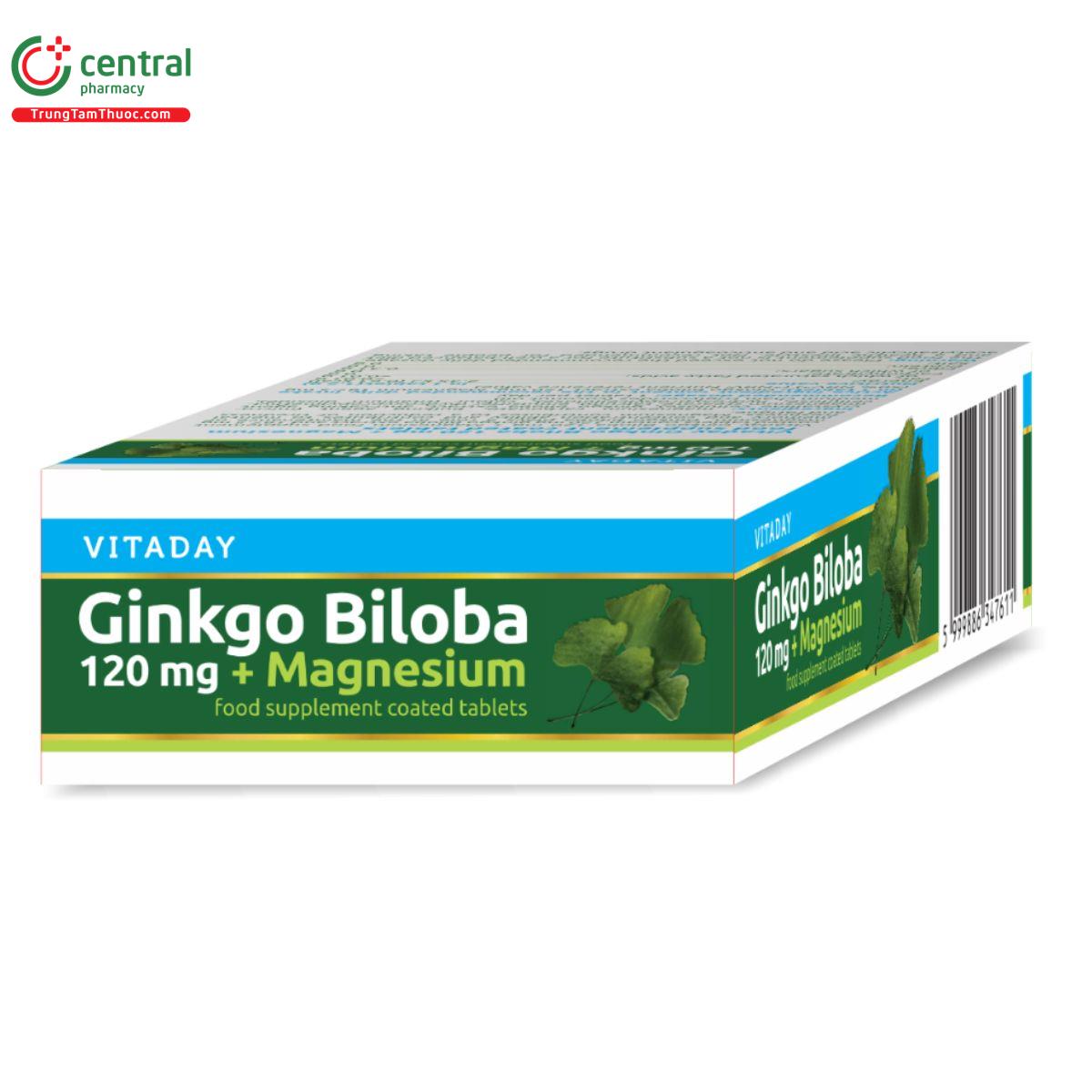 vitaday ginkgo biloba 120mg magnesium 6 N5465