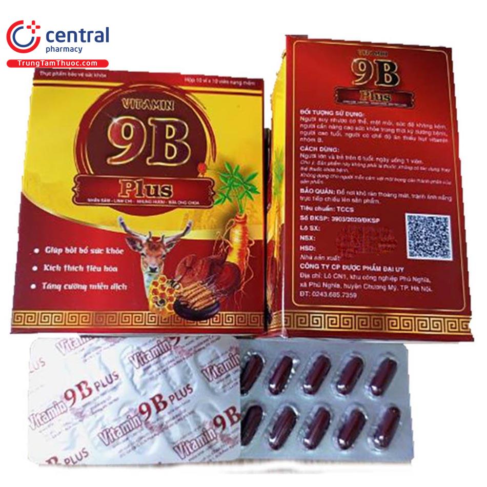 vitamin 9b plus 13 C1116