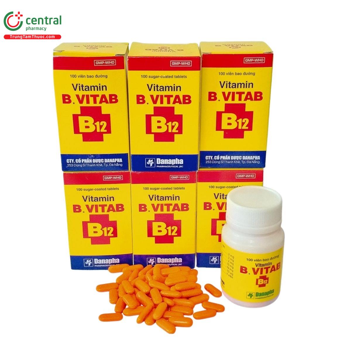 vitamin b vitab b12 danapha 2 P6027 vitamin b vitab b12 danapha 2 P6027