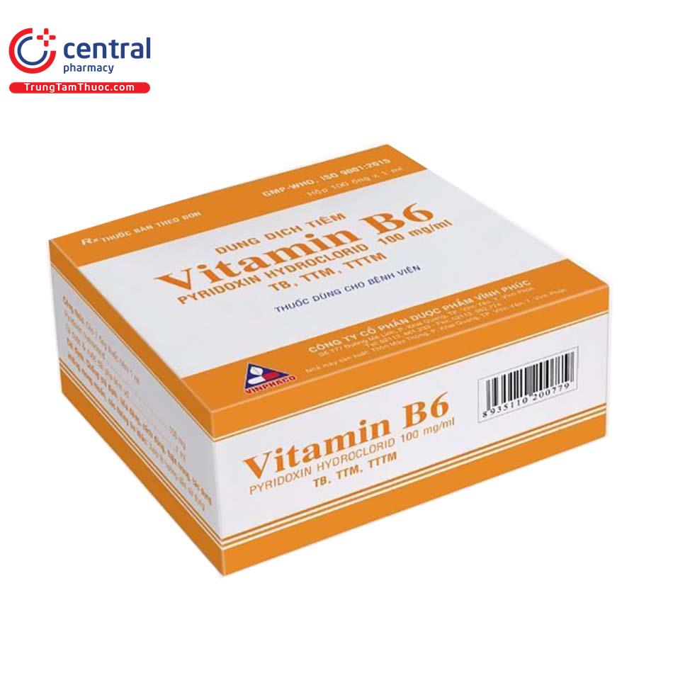 vitamin b6 100mg ml vinphaco 2 J3808