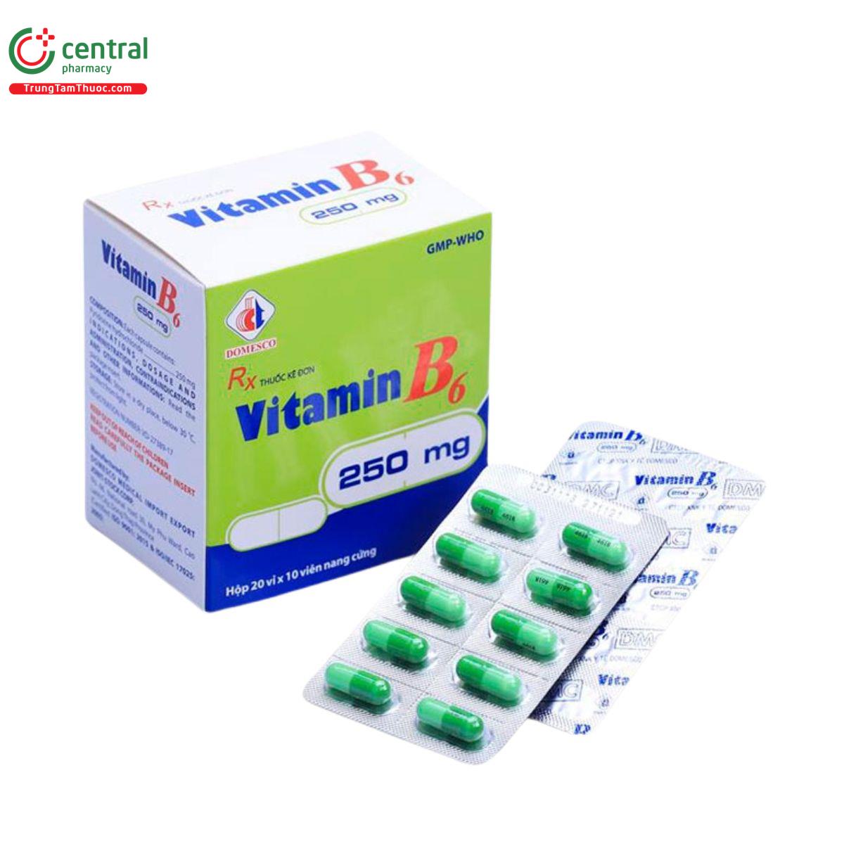 vitamin b6 250mg domesco 1 K4815