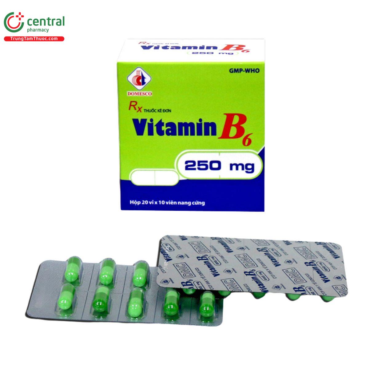 vitamin b6 250mg domesco 2 Q6542