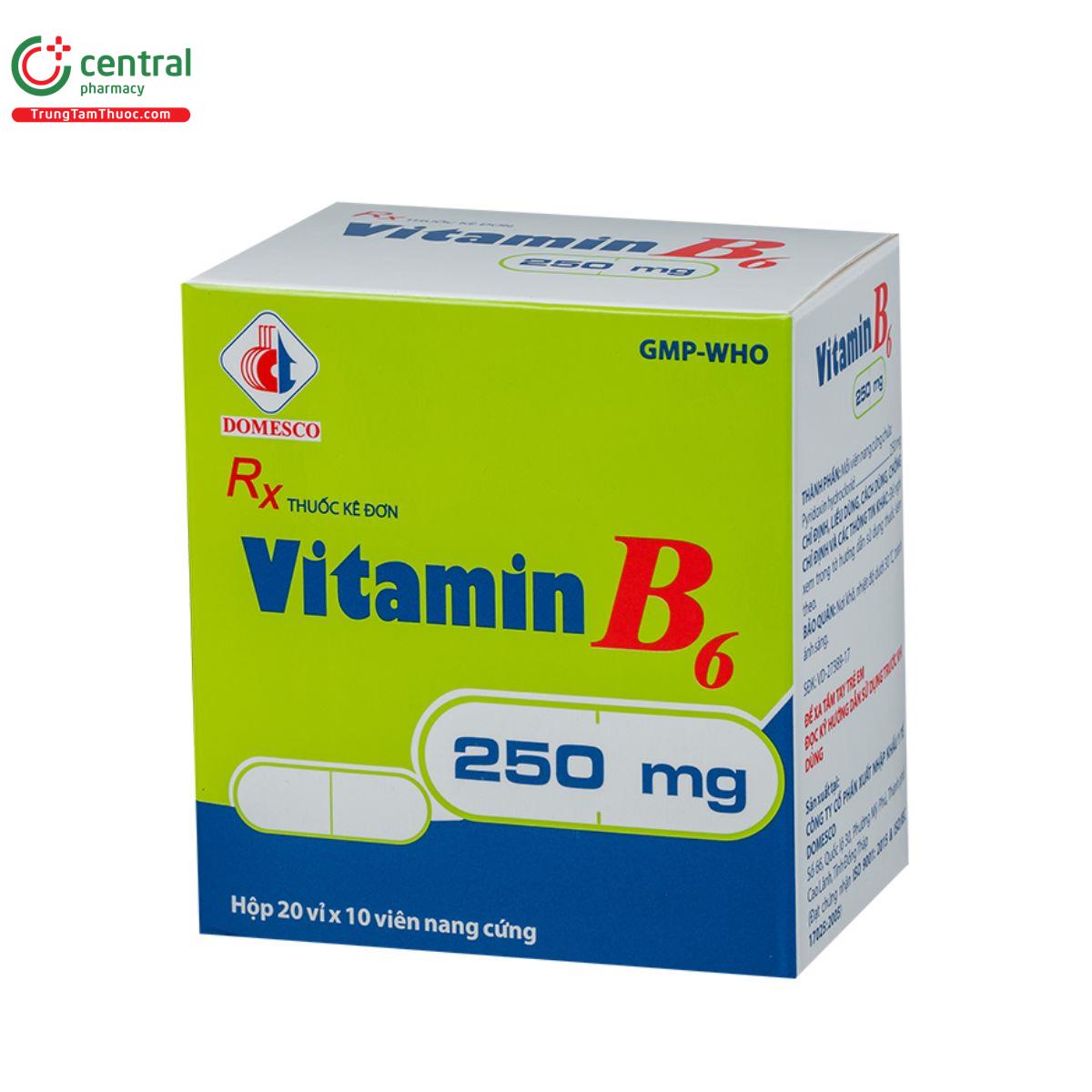 vitamin b6 250mg domesco 4 I3826