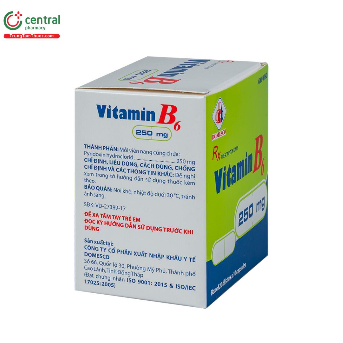 vitamin b6 250mg domesco 5 L4014