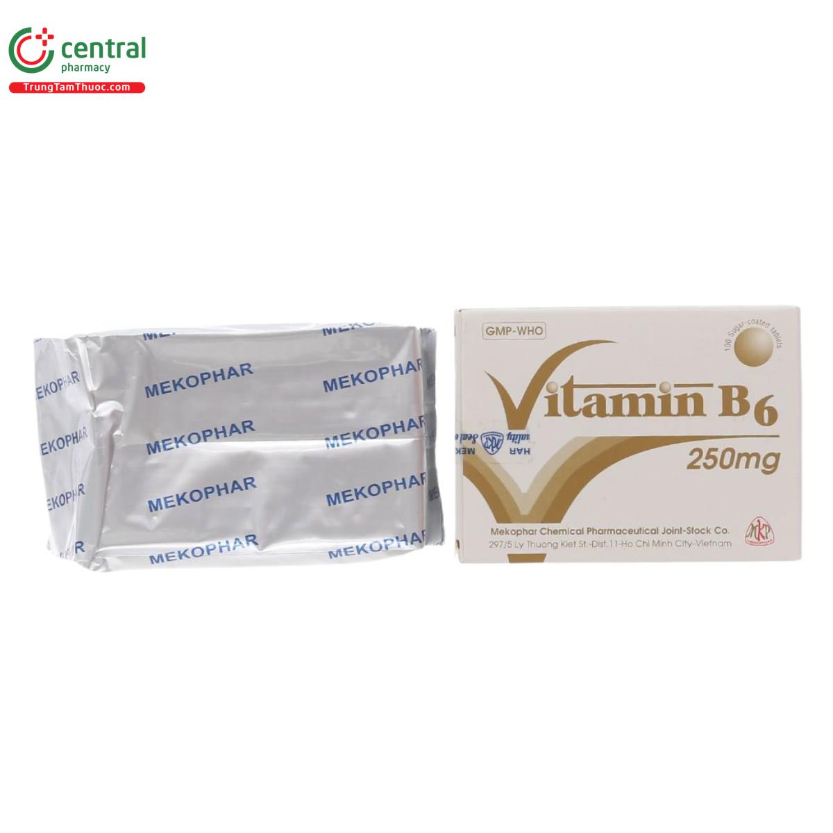 vitamin b6 250mg mekophar 3 N5608