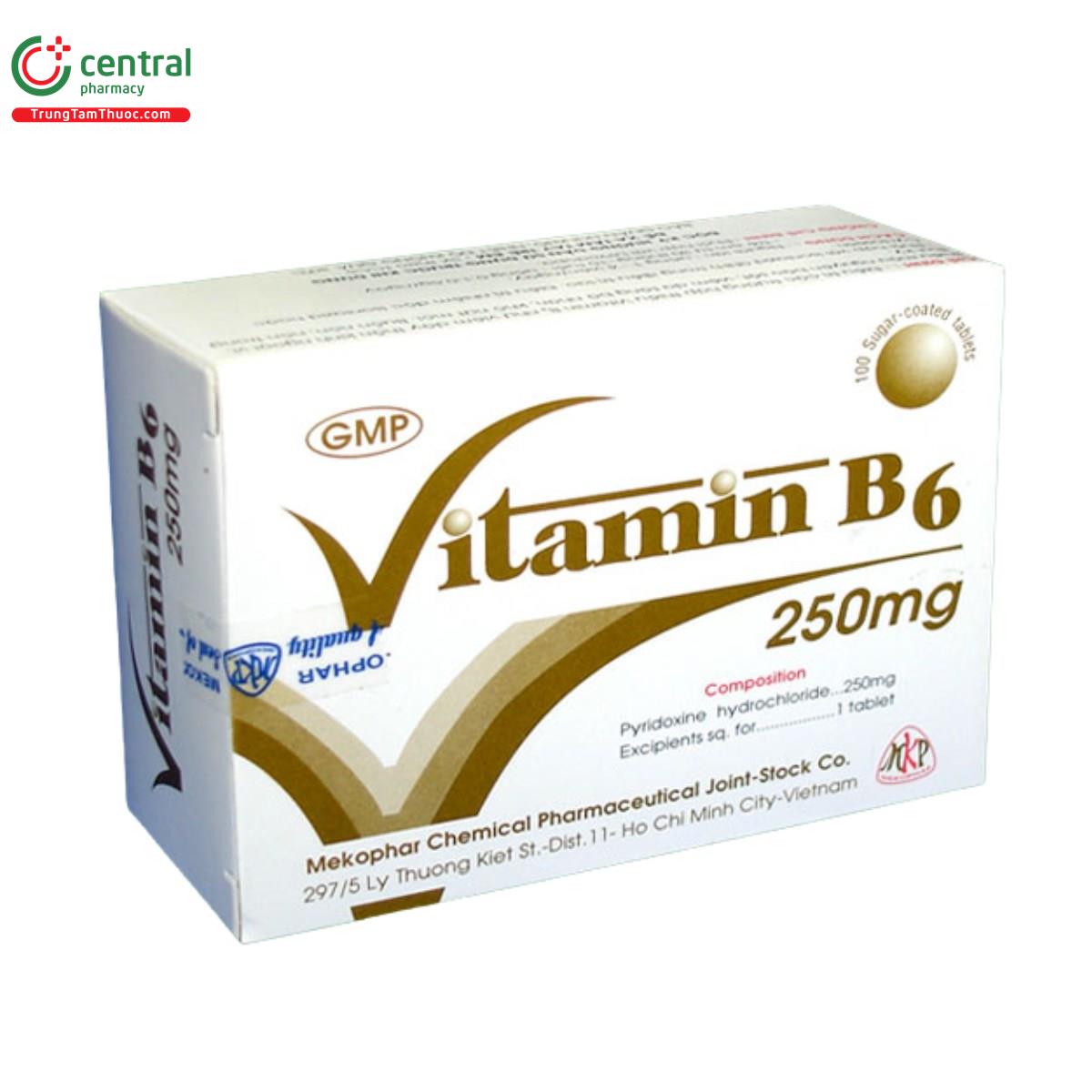 vitamin b6 250mg mekophar 5 P6687