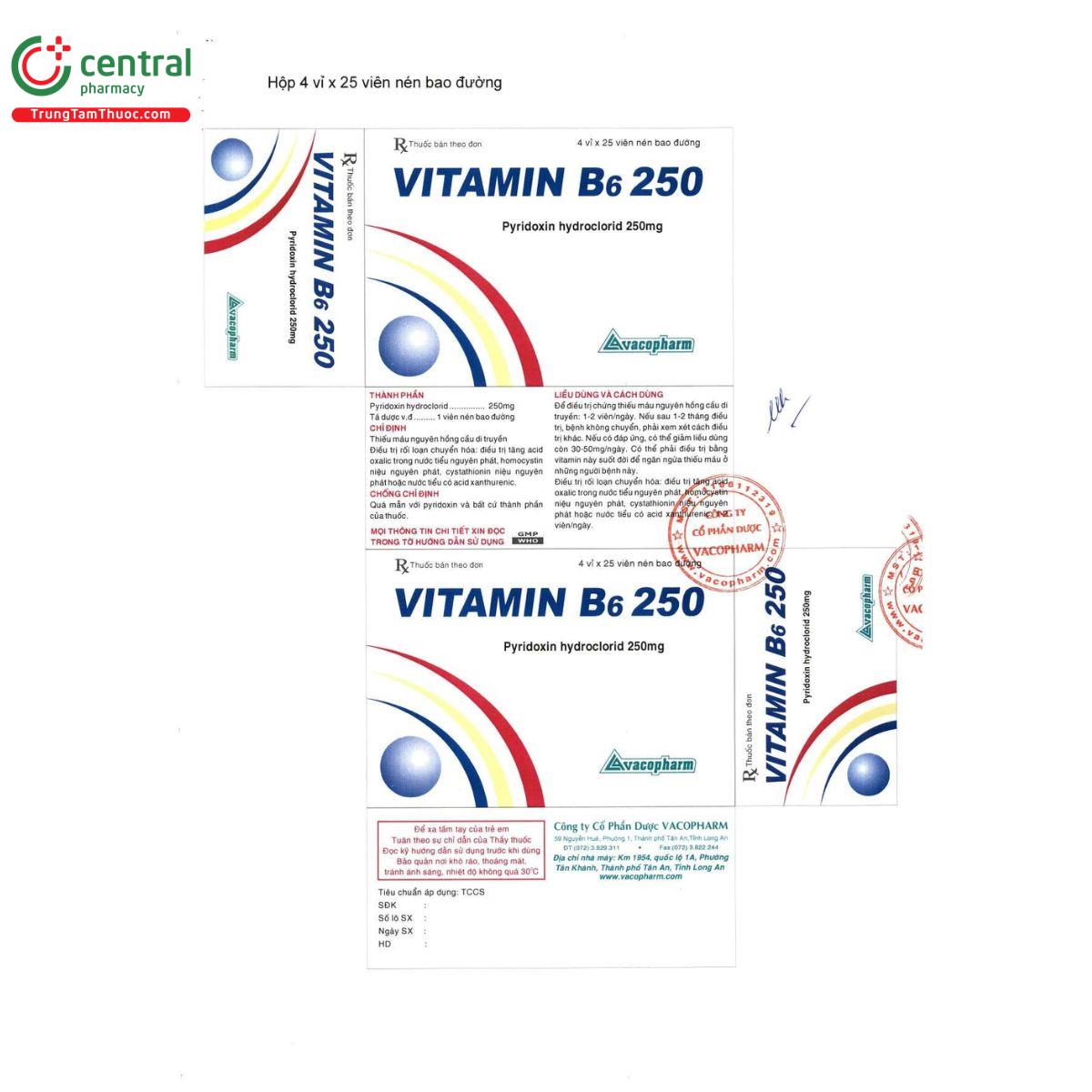 vitamin b6 250mg vacopharm 8 D1087 vitamin b6 250mg vacopharm 8 D1087