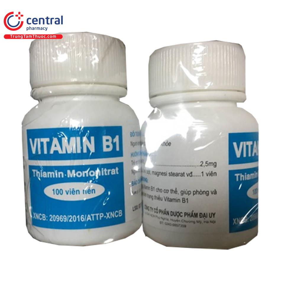 vitaminb1daiy100vttt1 V8103