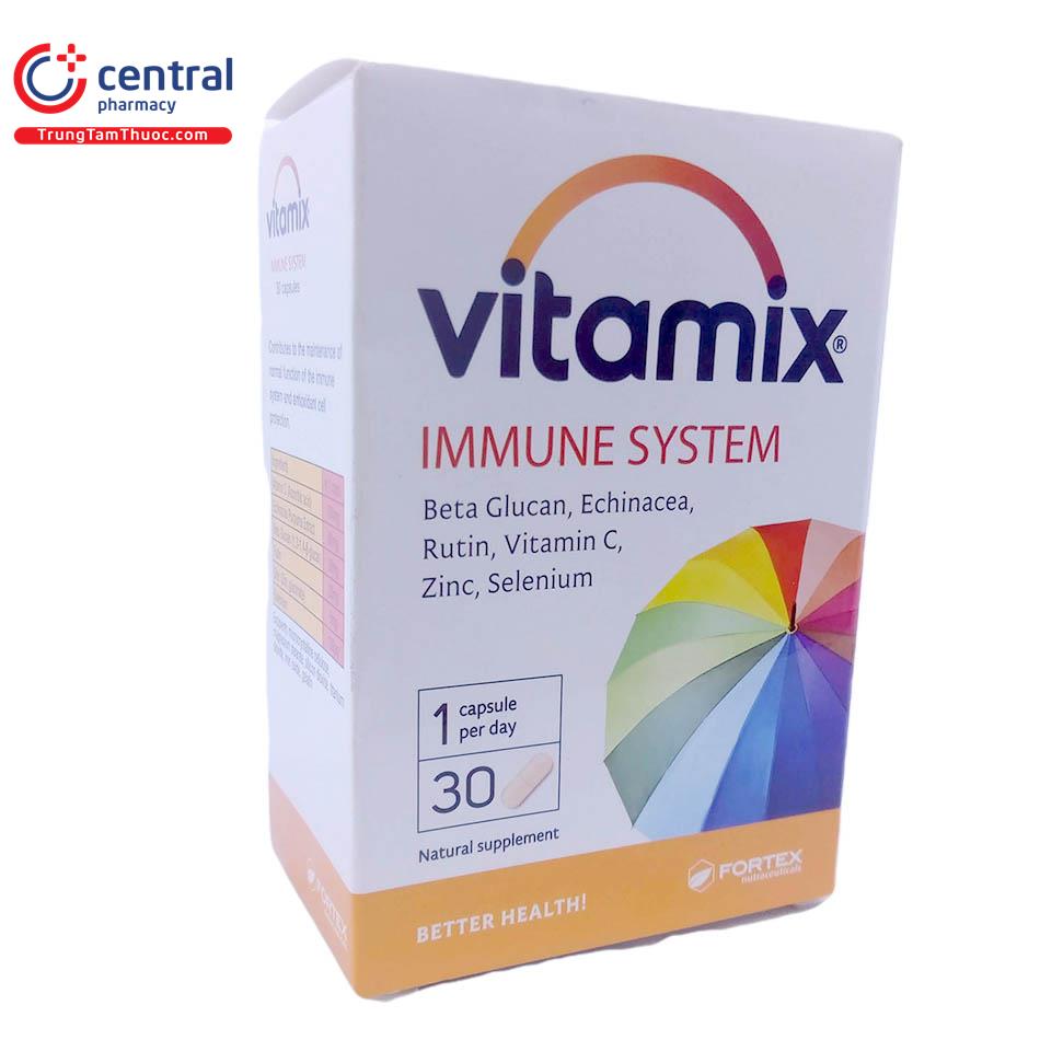 vitamix immune system 4 M5240