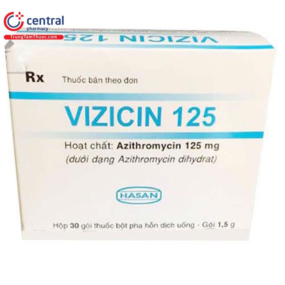 vizicin1251 F2858