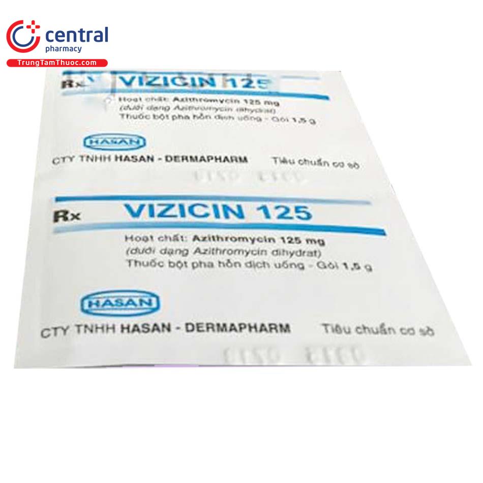 vizicin1252 J3013