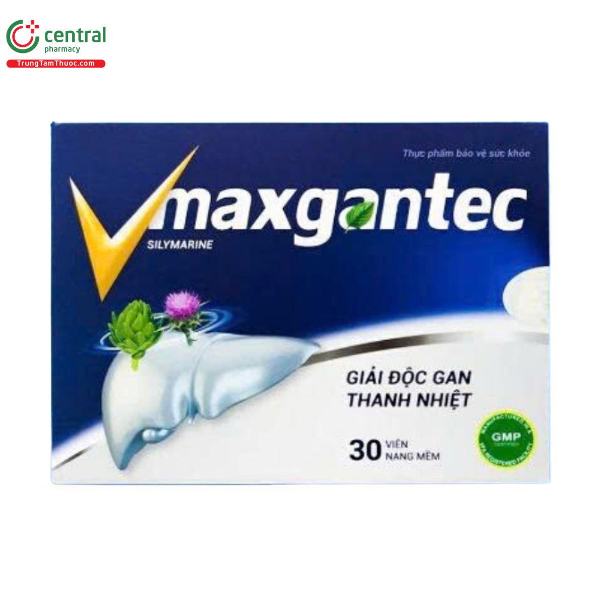 vmaxgantec 2 H3083