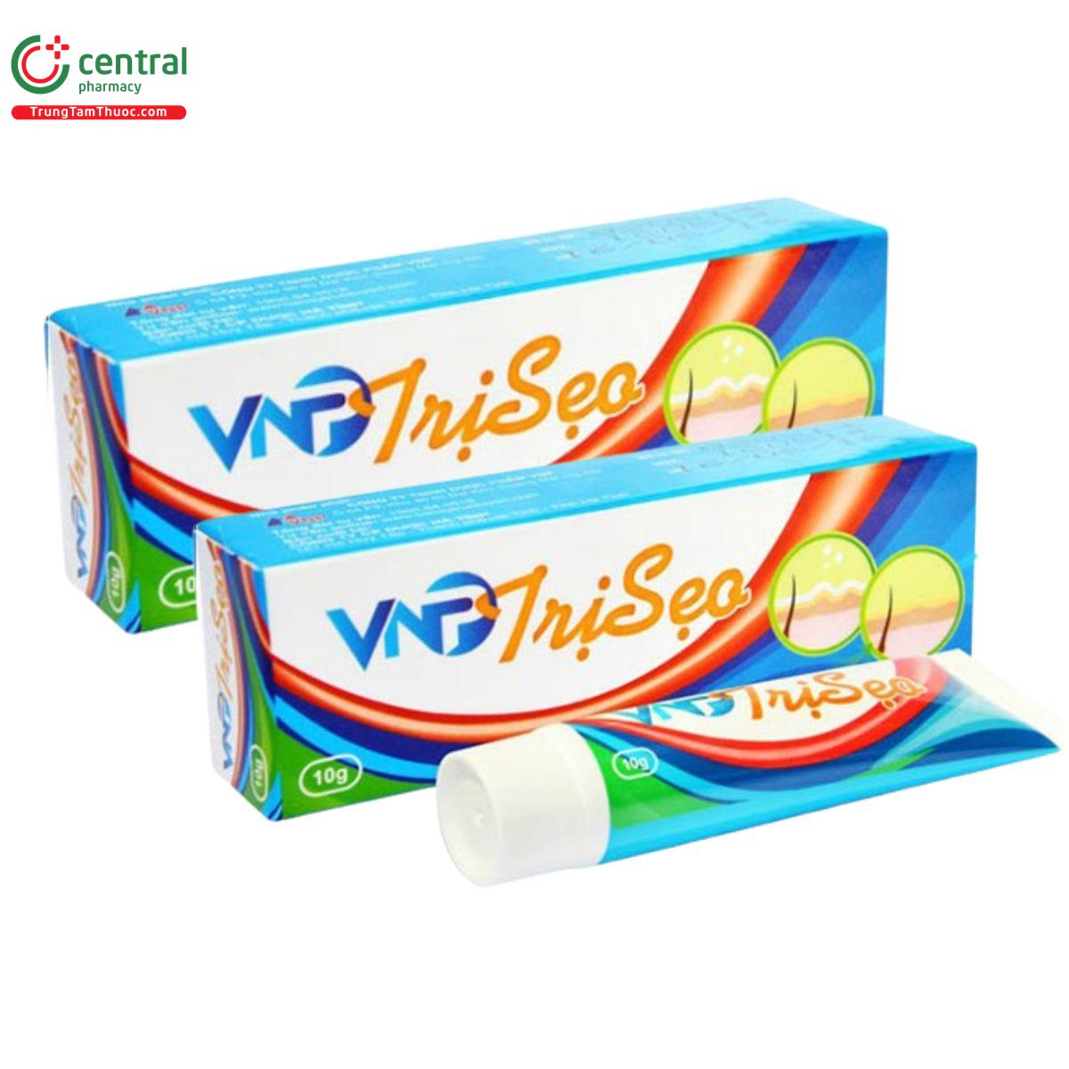 vnp tri seo 1 F2171