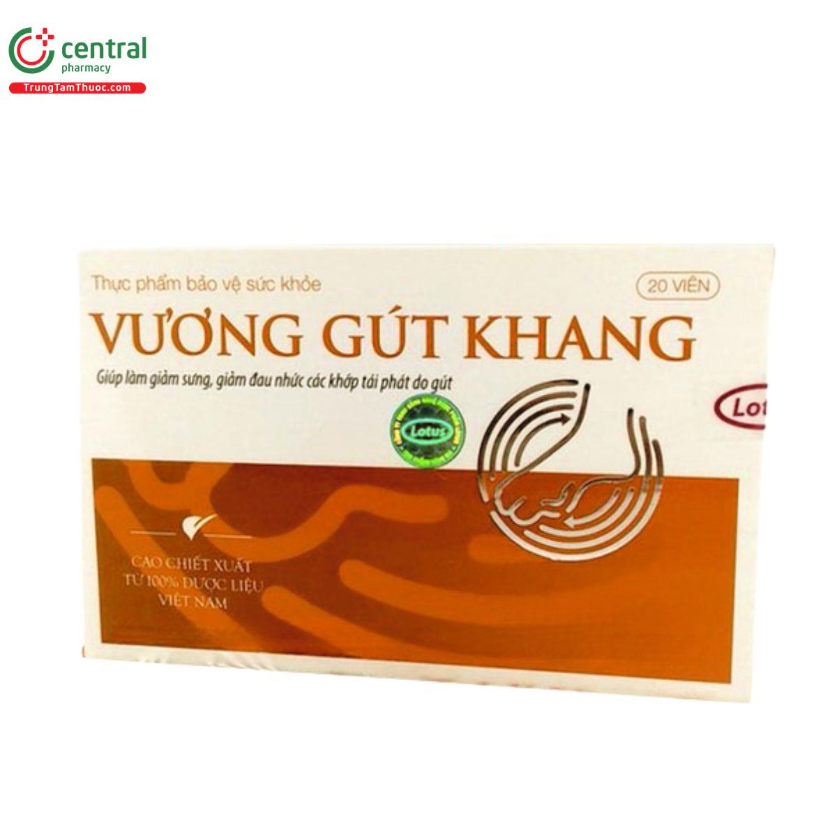 vuong gut khang 3 L4881 vuong gut khang 3 L4881