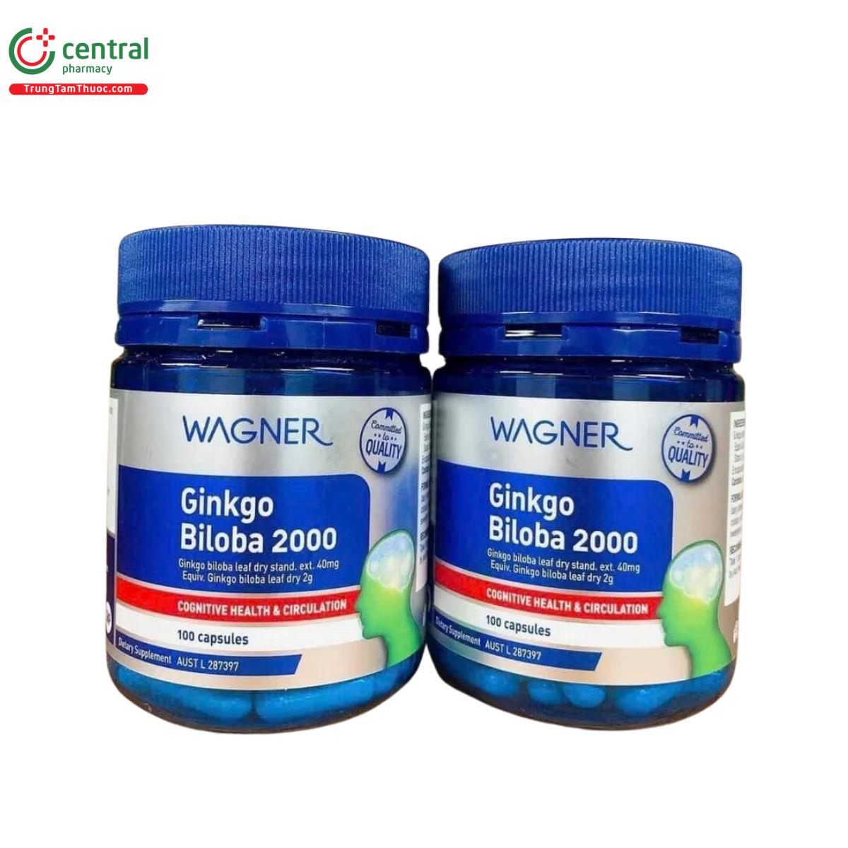 wagner ginkgo biloba 2000 2 L4363