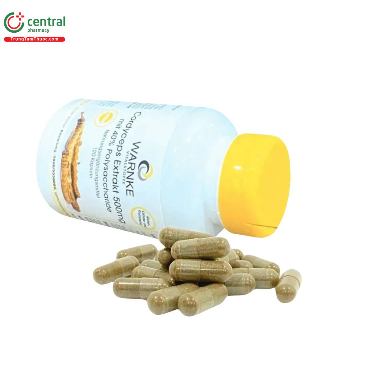 warnke cordyceps extrakt 500mg 5 R7120