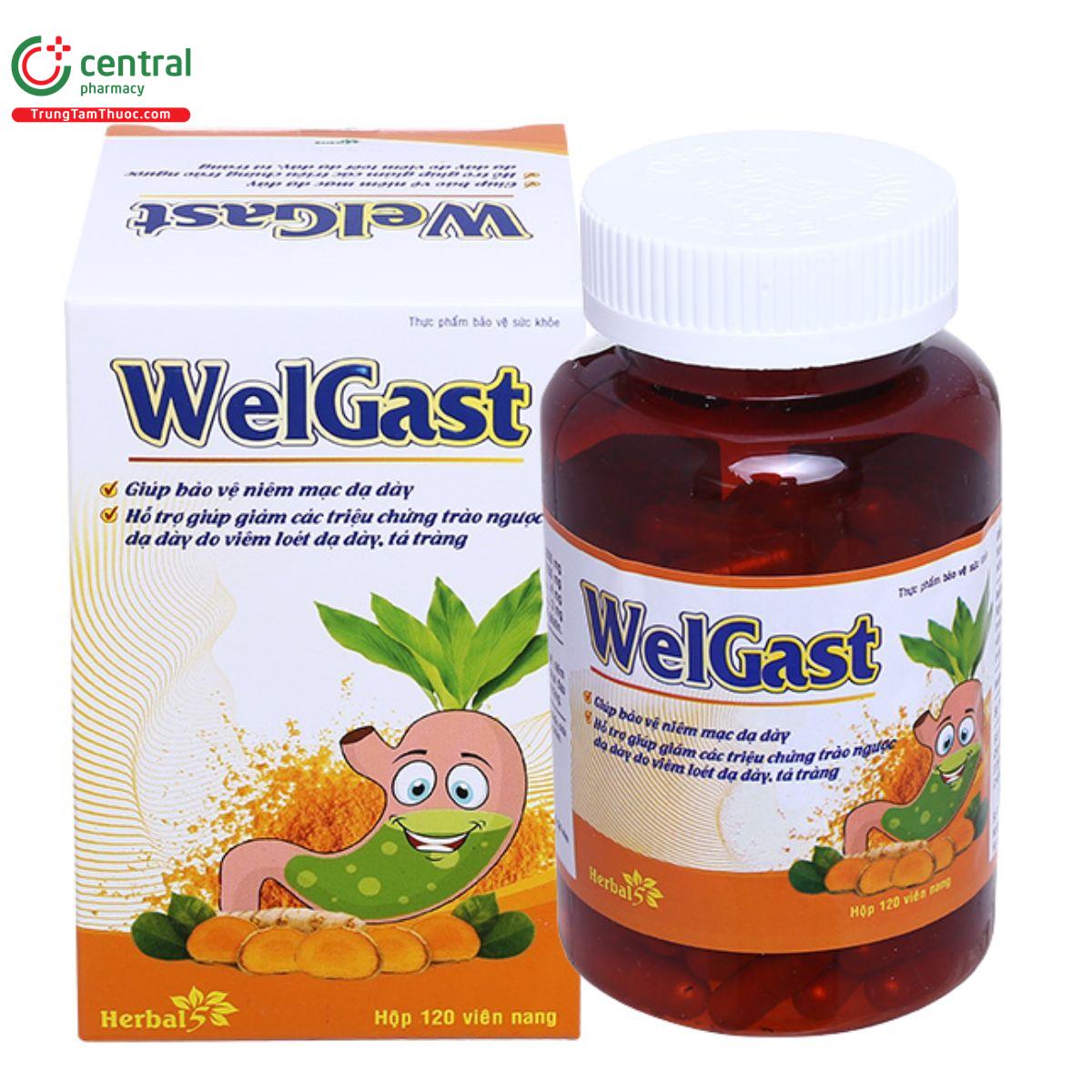 welgast 2 K4648