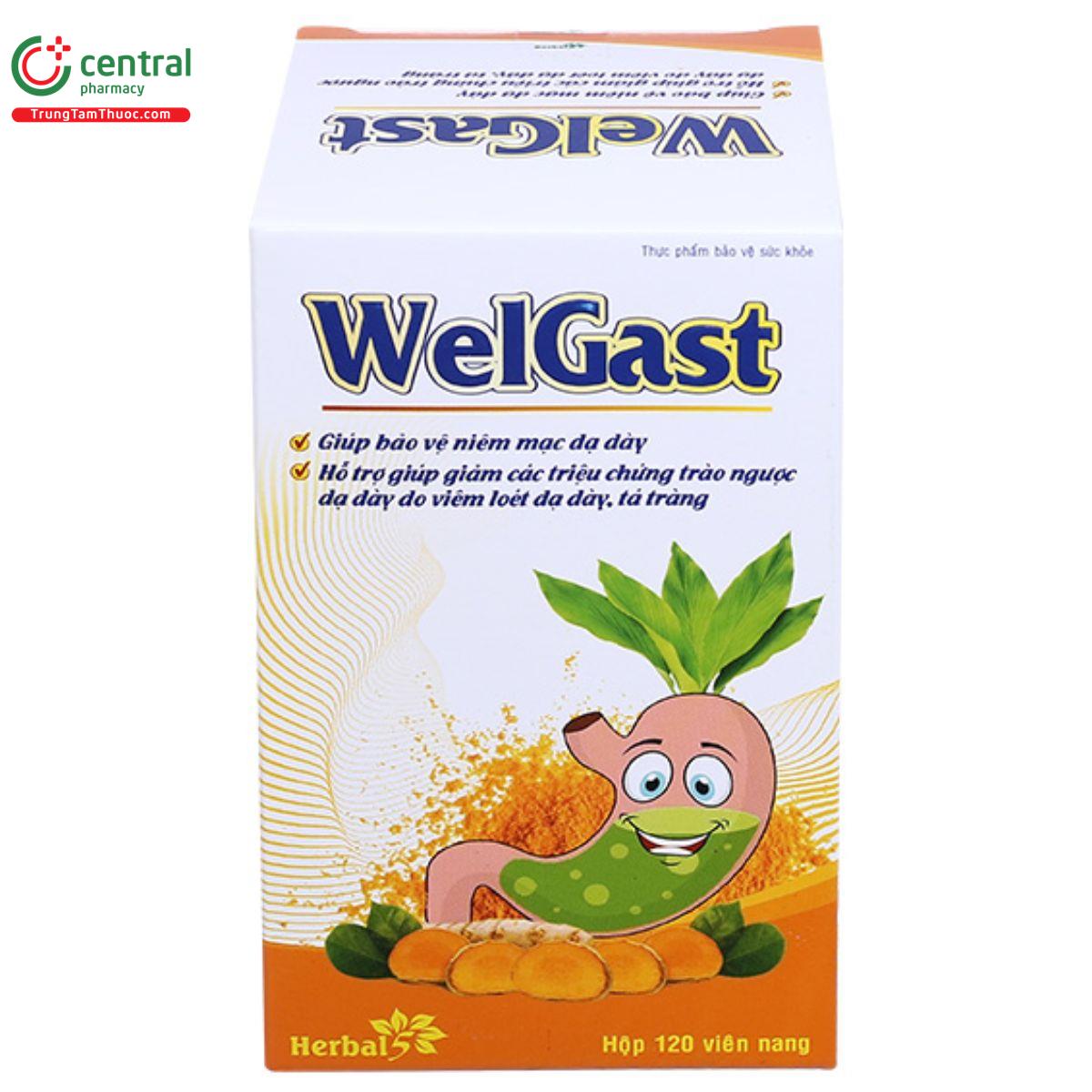 welgast 3 L4626