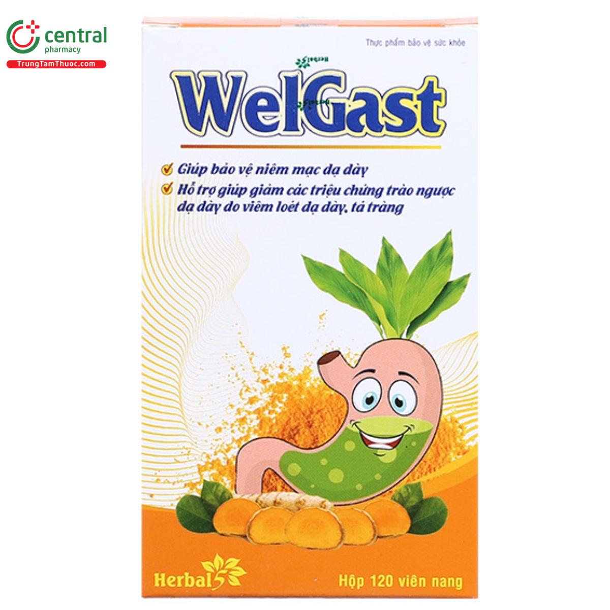 welgast 4 E1080