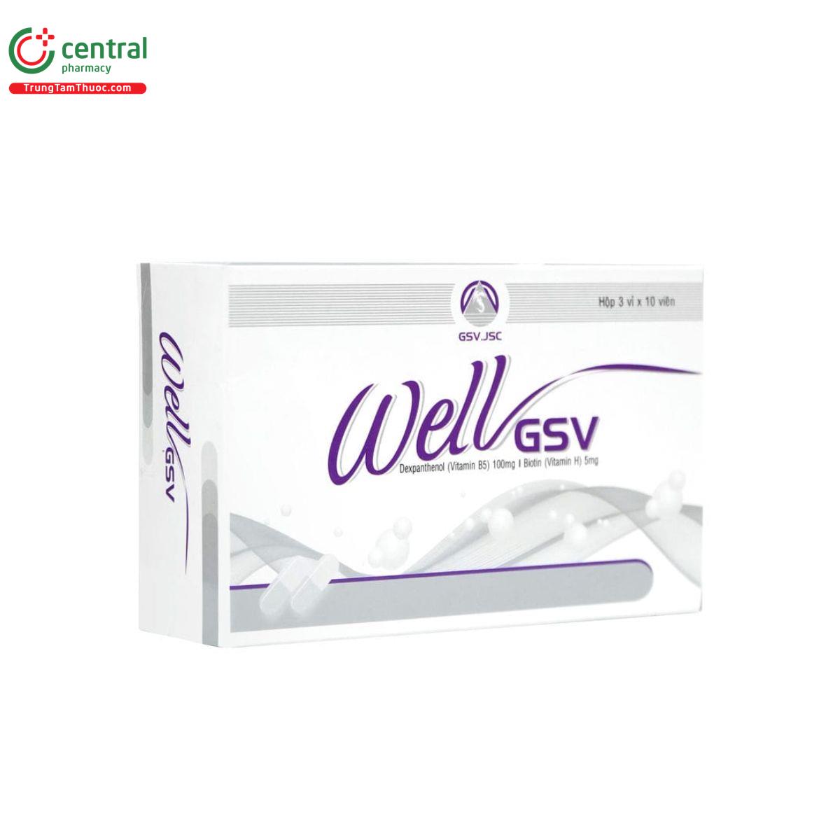 well gsv 3 B0172 well gsv 3 B0172