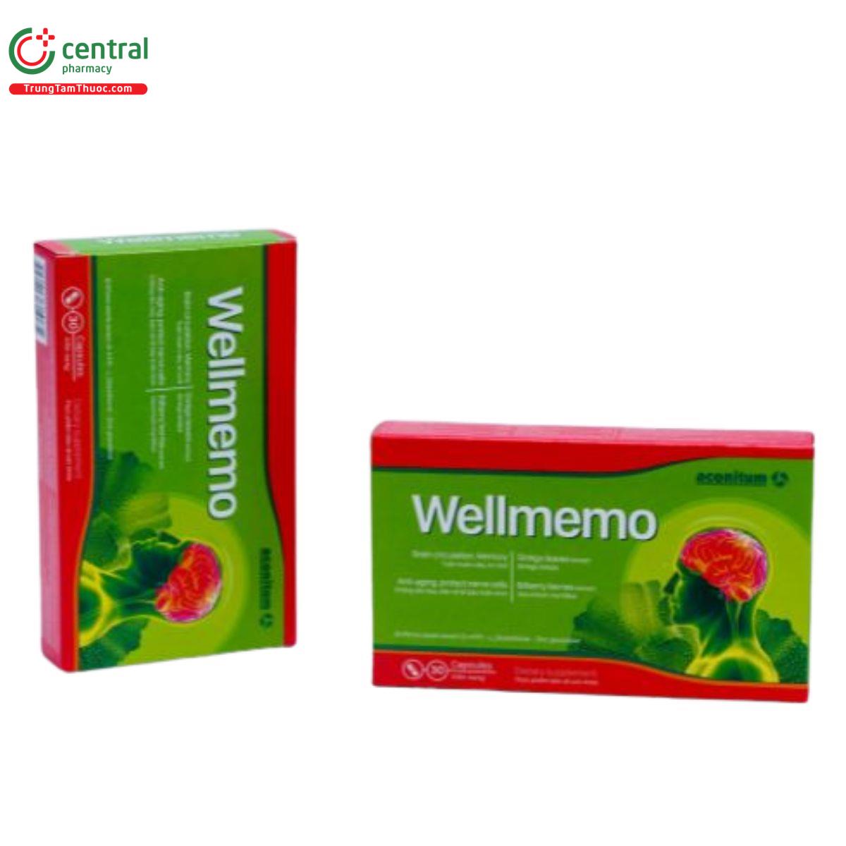 wellmemo 2 D1613 wellmemo 2 D1613