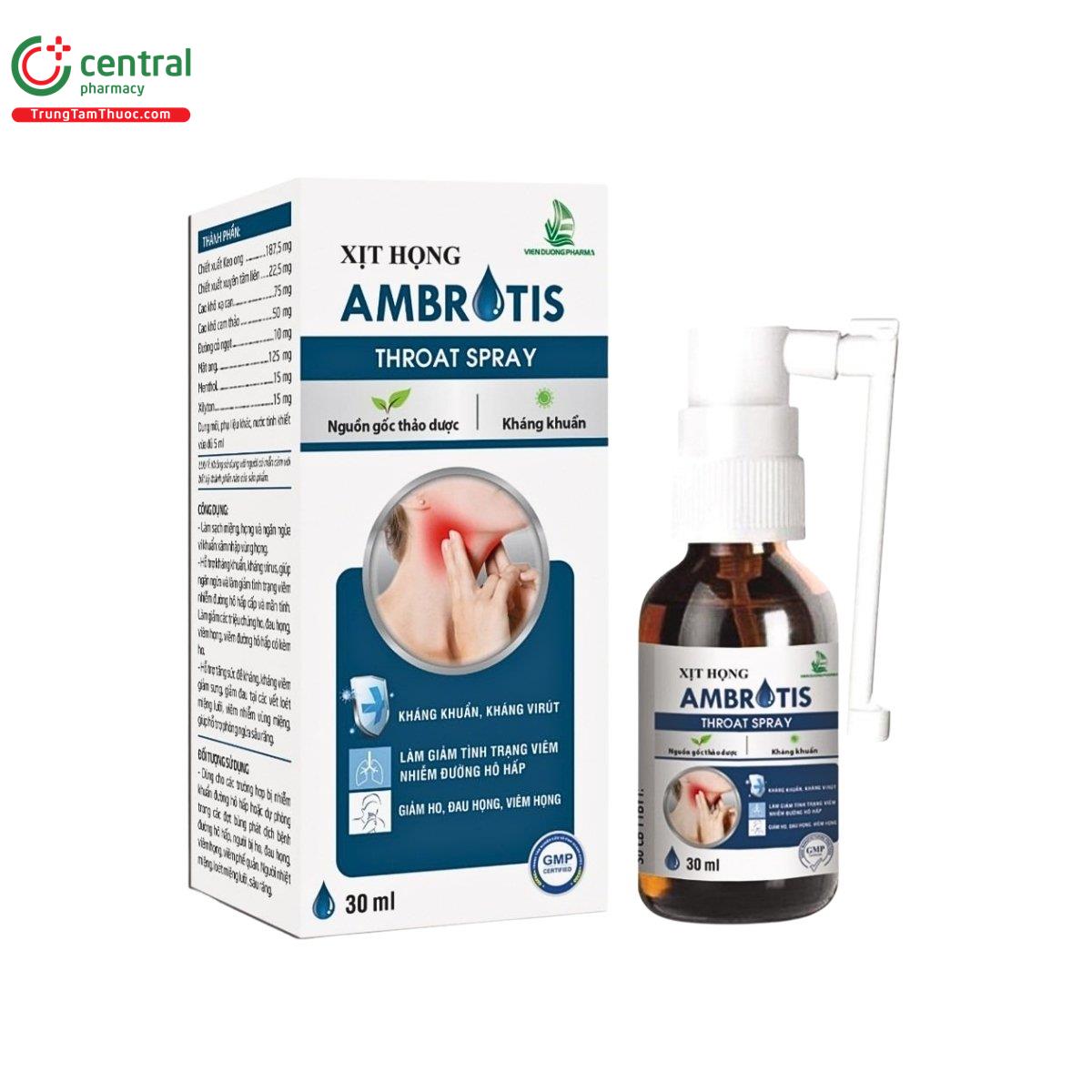 xit hong ambrotis 1 P6751