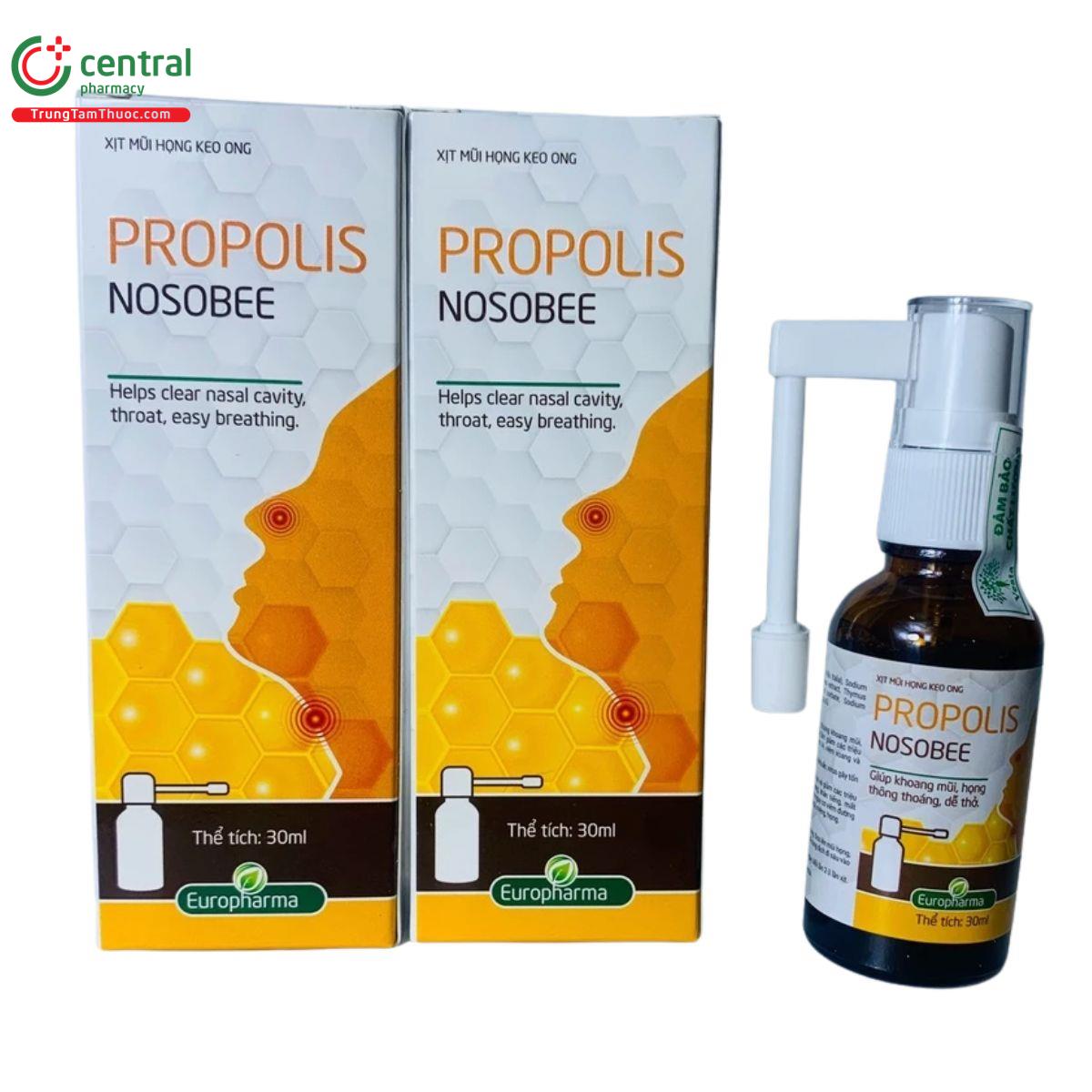 xit mui hong keo ong propolis nosobee 10 G2753