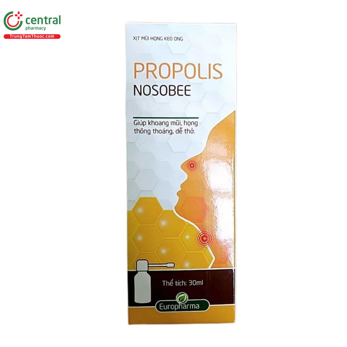 xit mui hong keo ong propolis nosobee 12 O5564