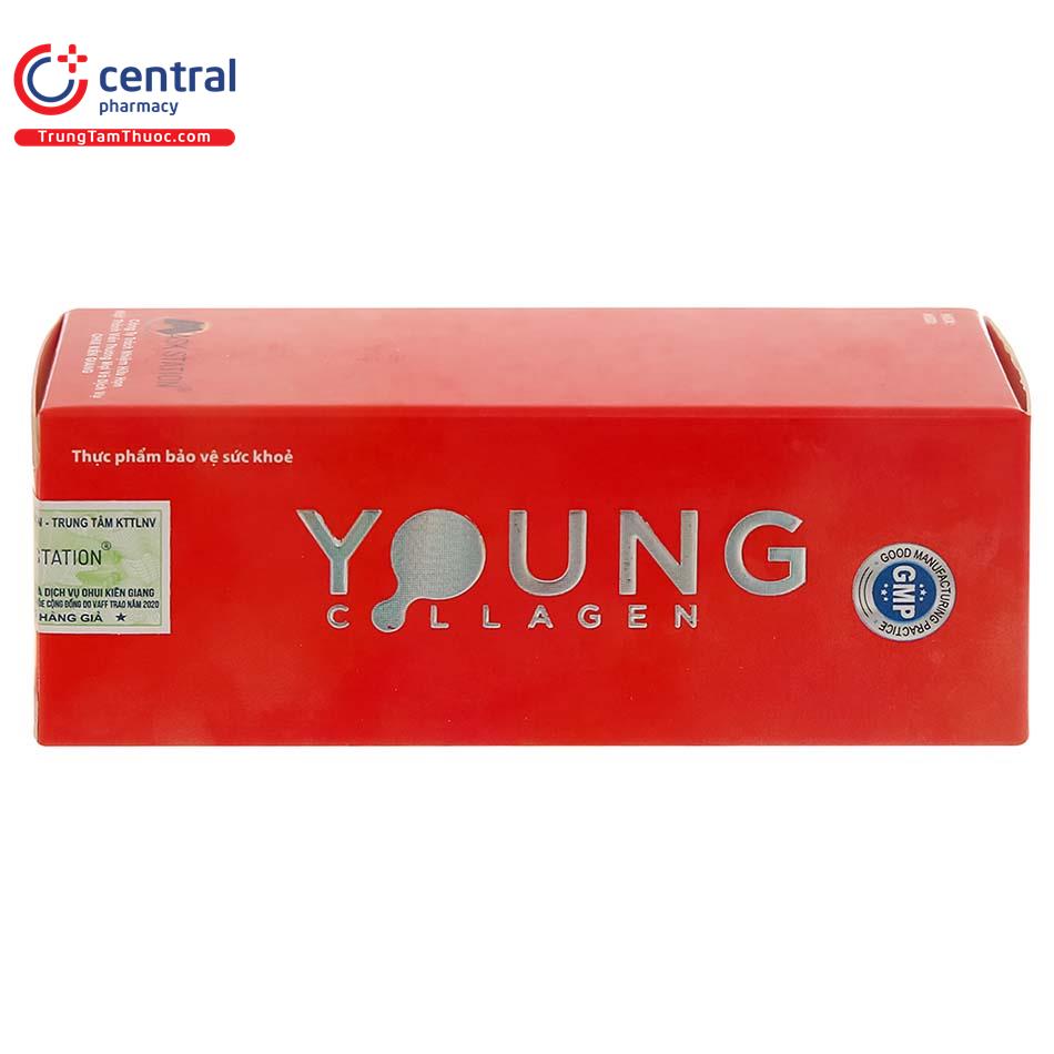 young collagen 4 L4862