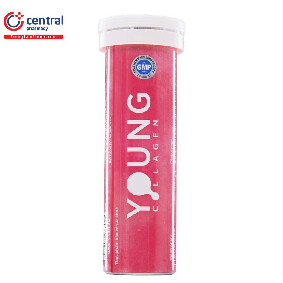 young collagen 6 e1305 H3345