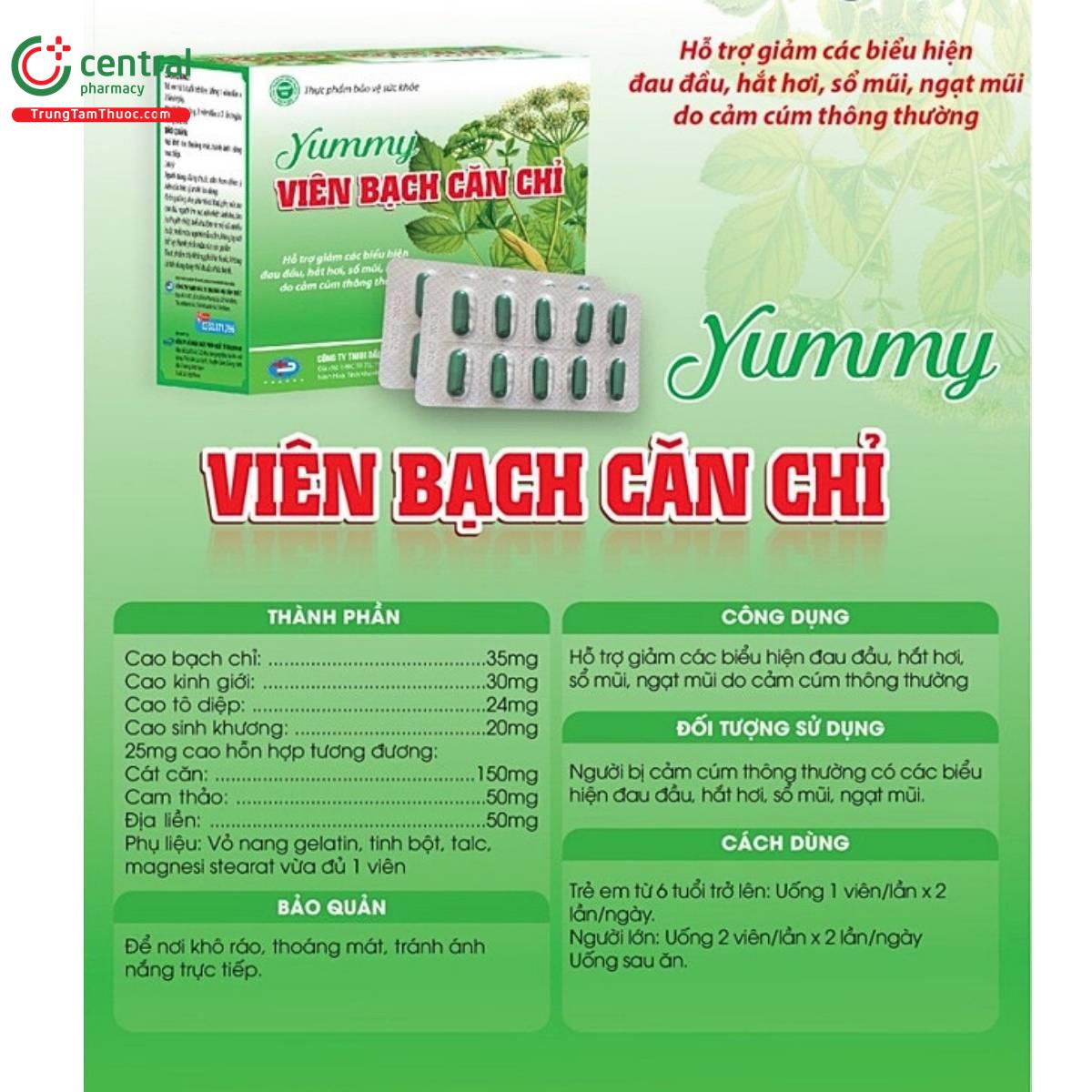 yummy vien bach can chi 4 D1625