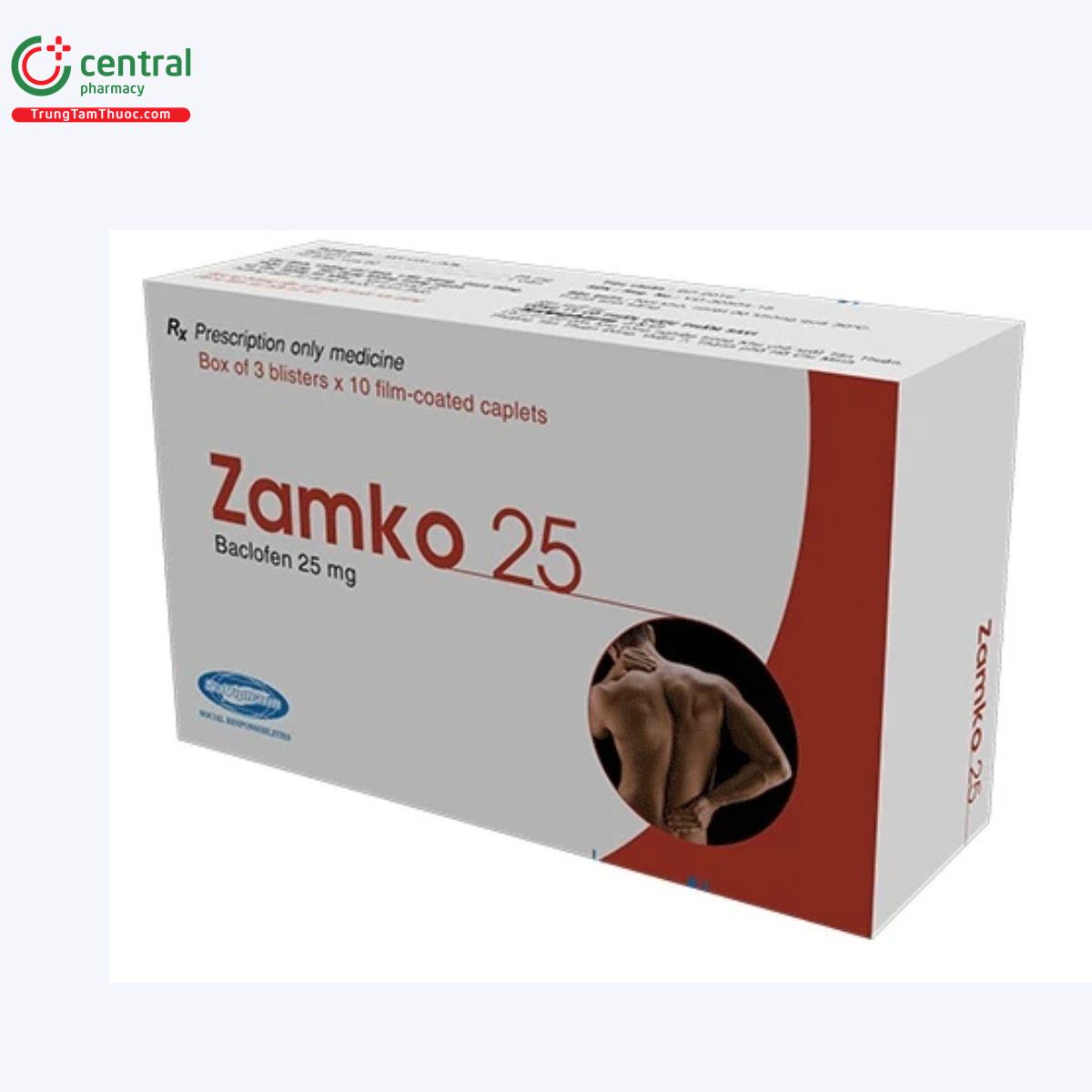 zamko 25 3 I3300