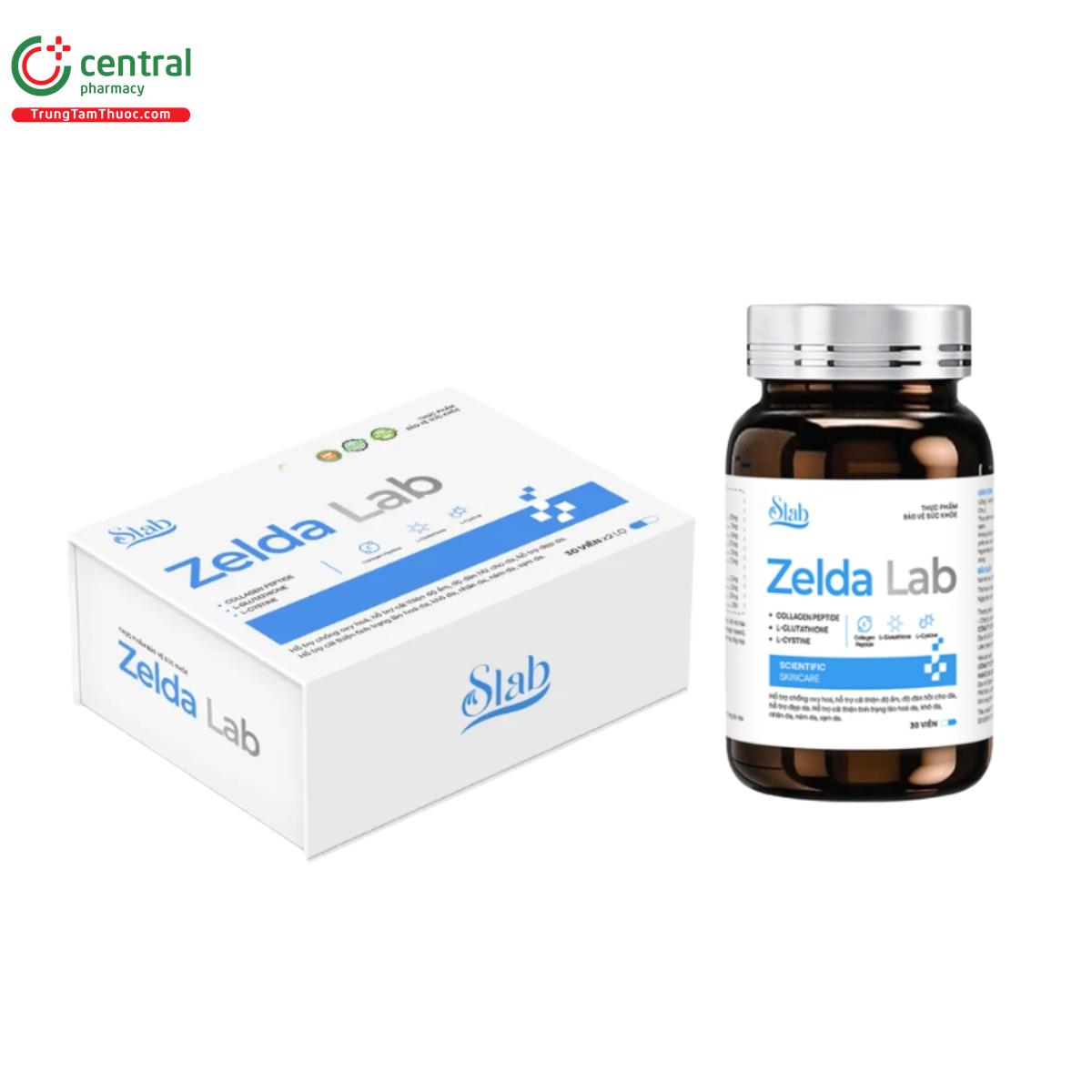 zelda lab 2 V8532