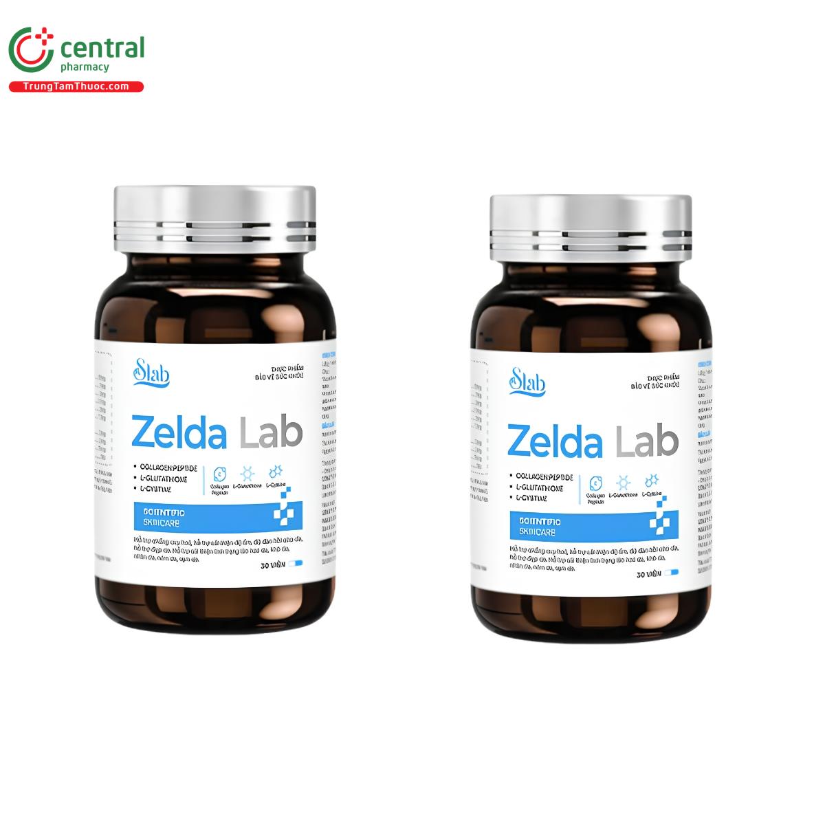 zelda lab 4 N5805