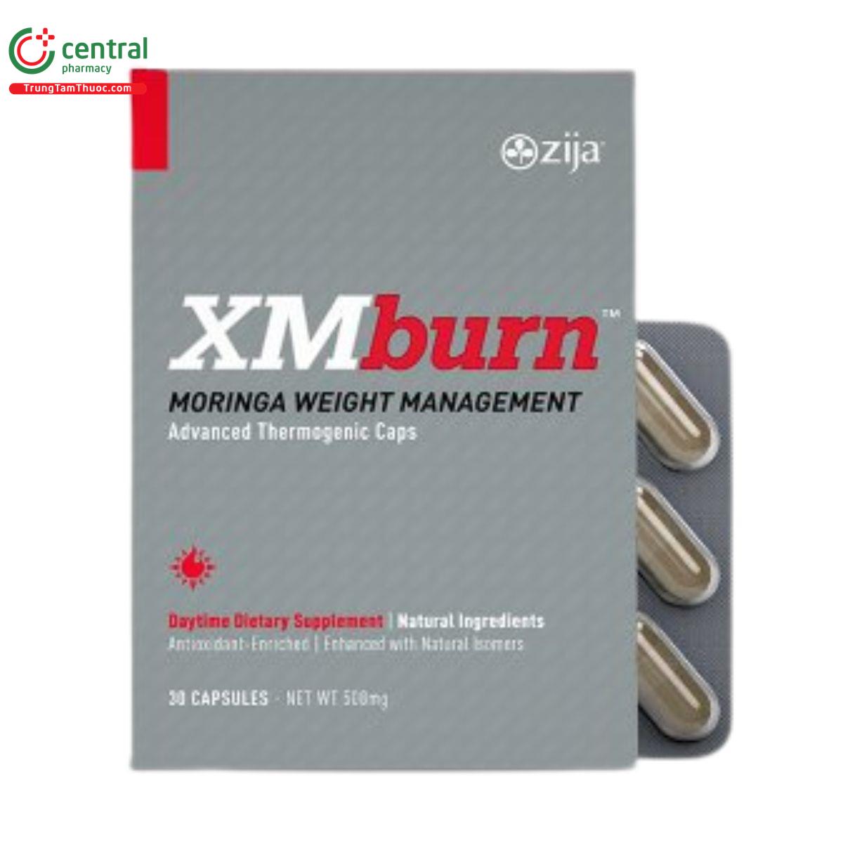 zija xmburn 1 I3810 zija xmburn 1 I3810