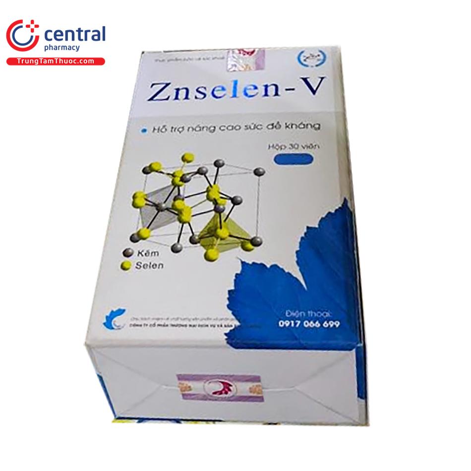 znselen v 30 vien 07 D1102