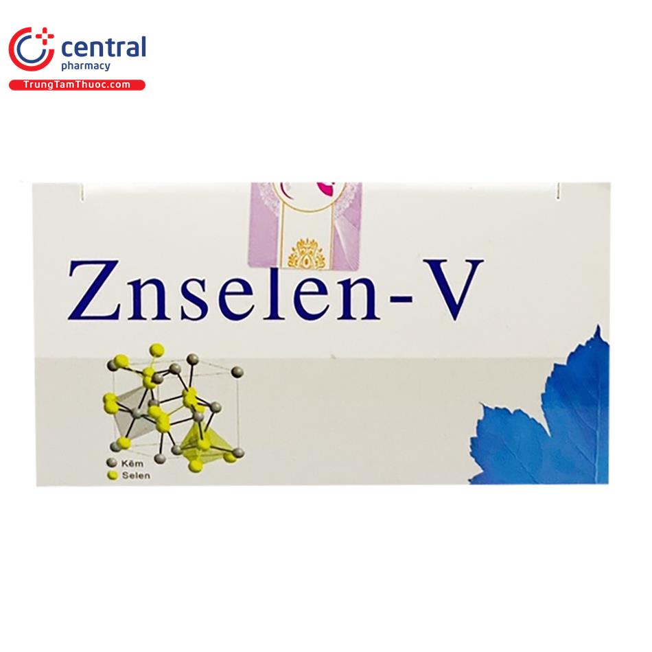 znselen v 30 vien 08 D1575