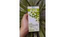 Review duong n5036.jpeg