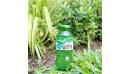 Review huy b0546.png