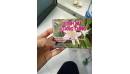 Review huyen v8064.jpeg