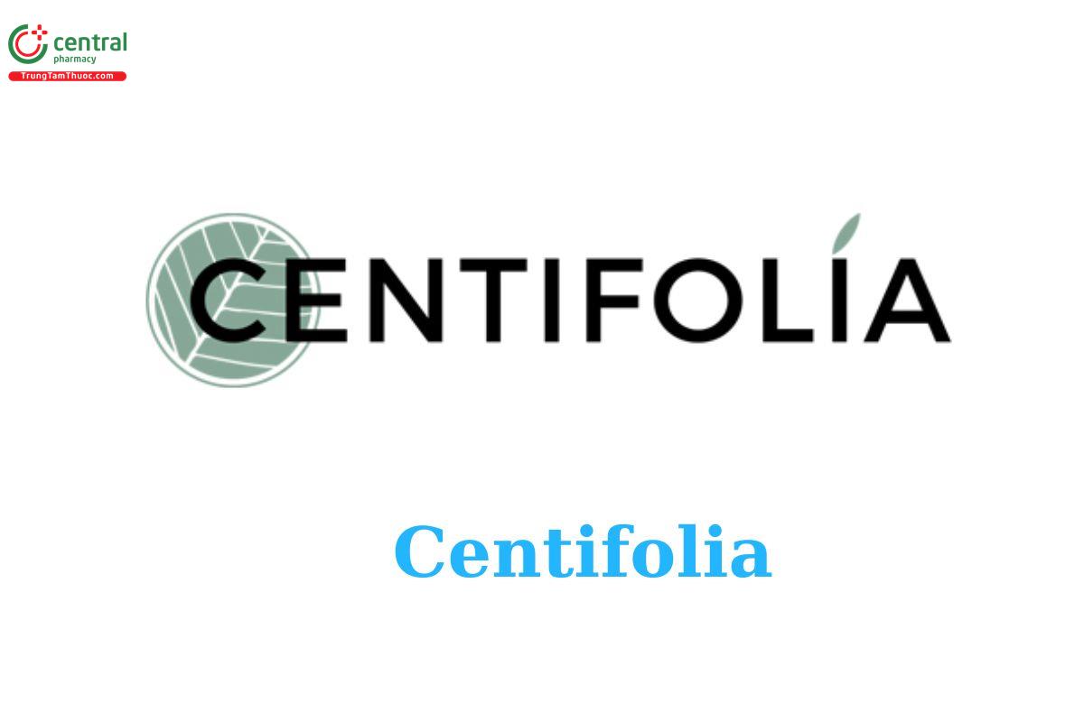 Centifolia