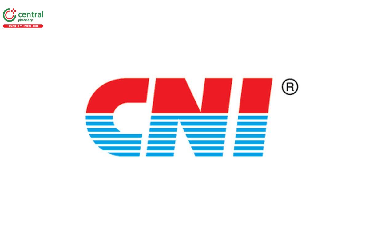 CÔNG TY TNHH CNI VIỆT NAM