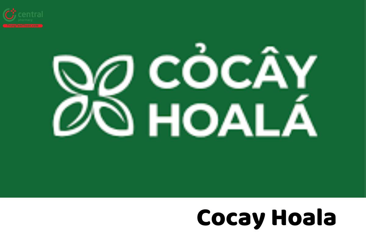 Cocay Hoala