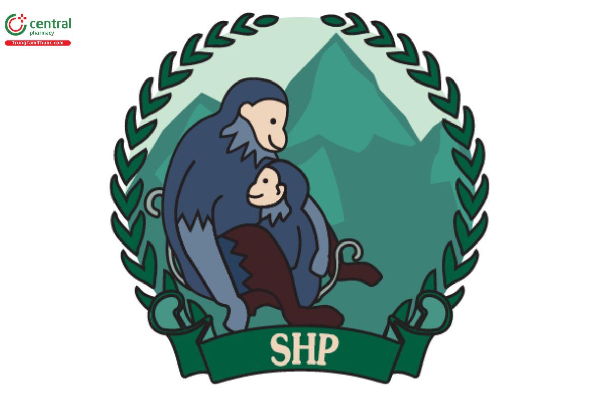 Công ty TNHH Đầu tư Sản xuất Thương mại Dịch vụ SHP