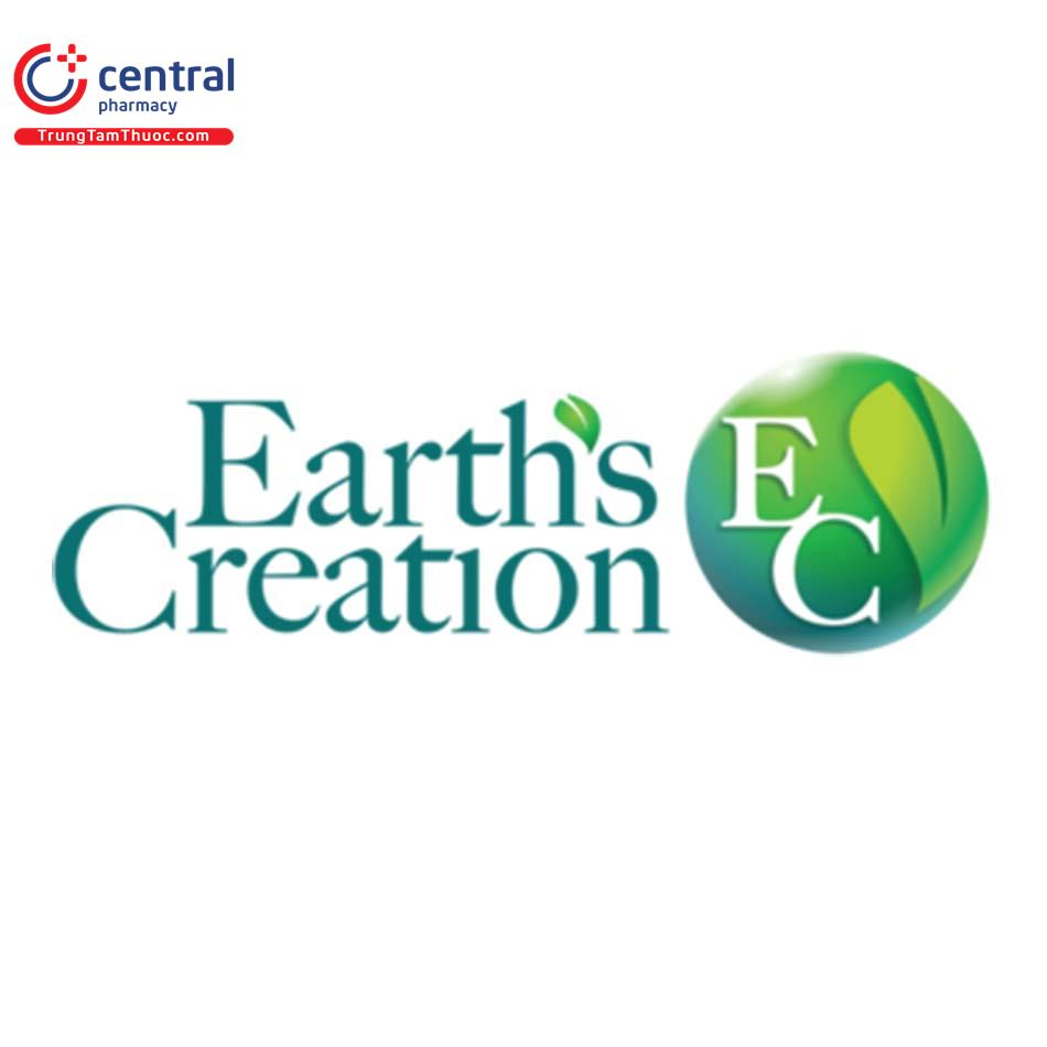 Earth's Creation