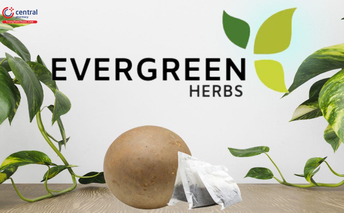 Evergreen Herbal