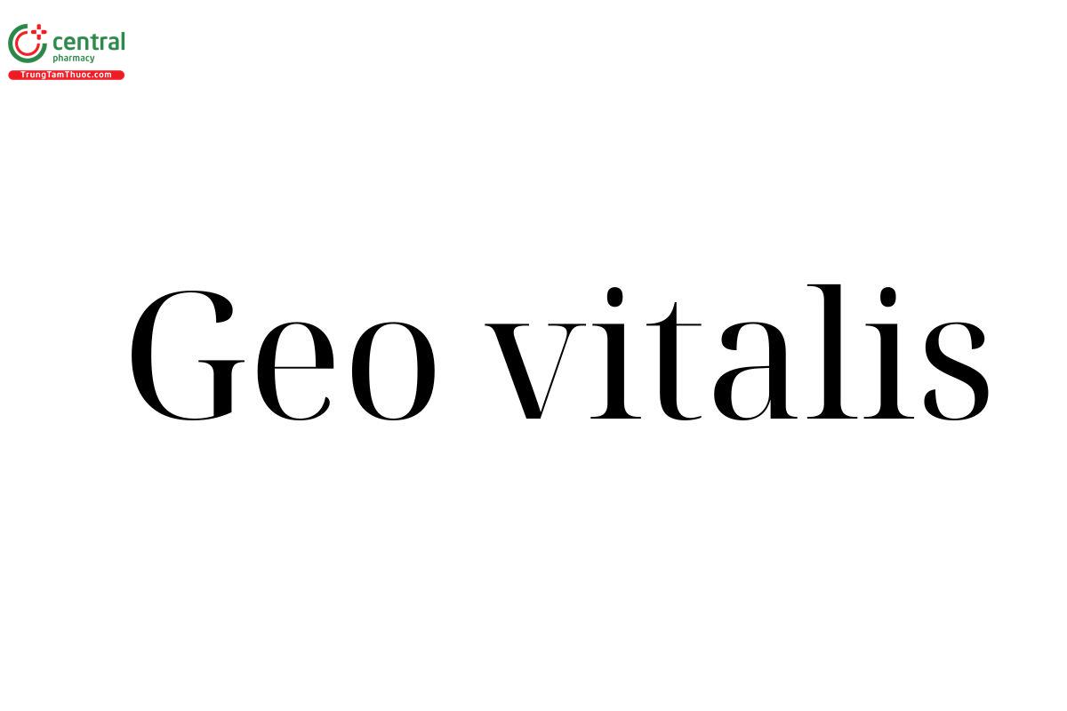 Geo Vitalis