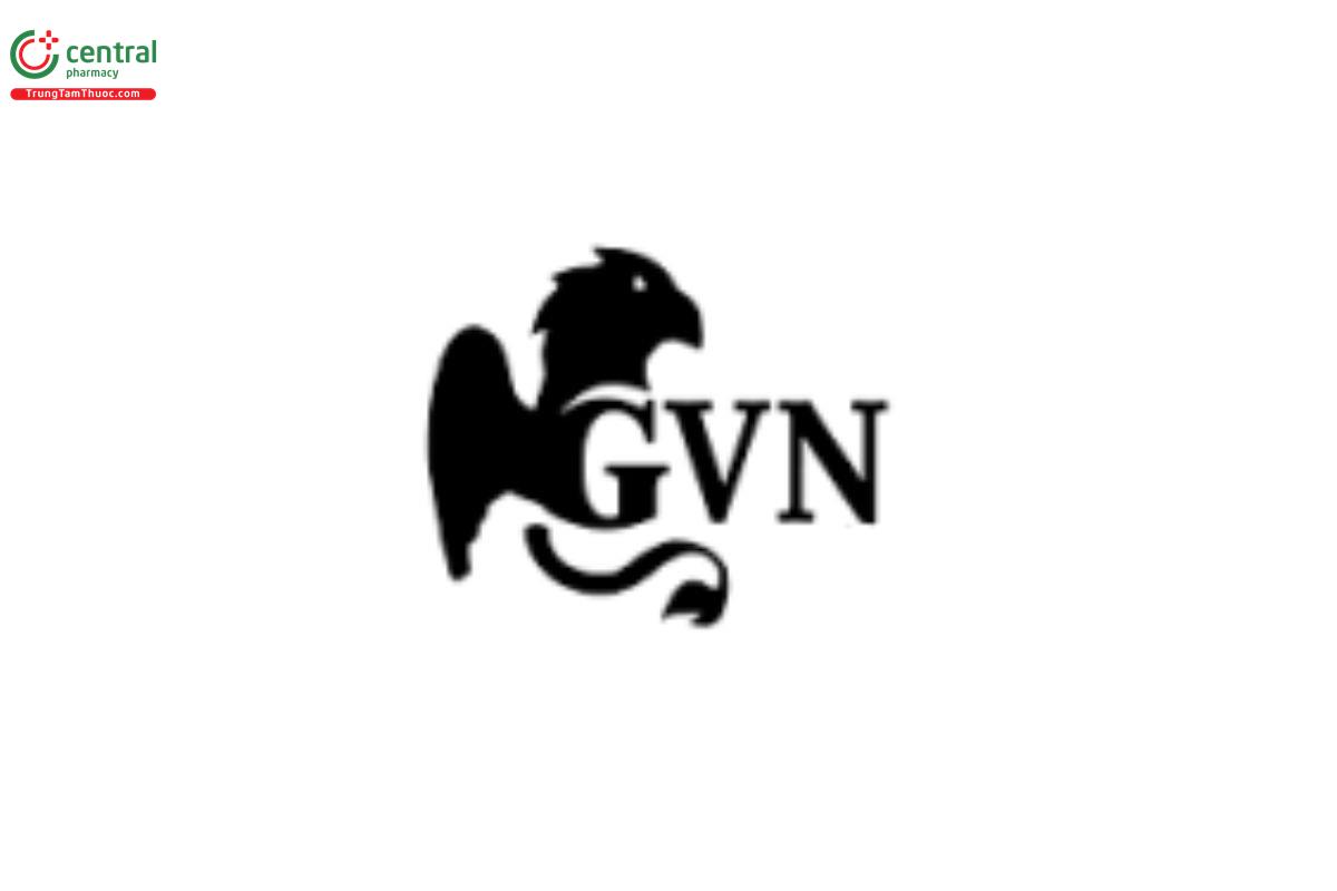 Công Ty TNHH Thương Mại GVN
