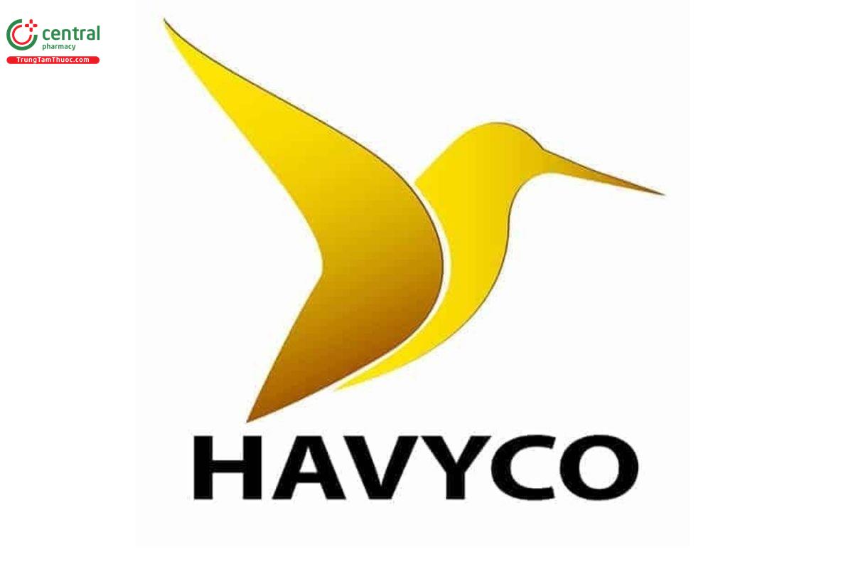 Công Ty Cổ Phần Havyco Group