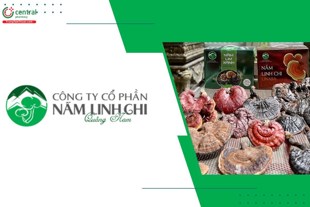Nấm linh chi Quảng Nam